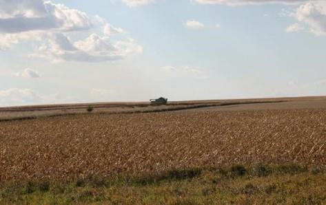 Arkansas, Missouri Suspend Sales Of Controversial Pesticide Dicamba